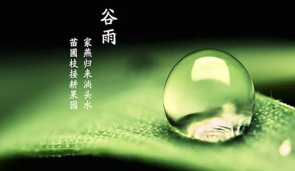 今日谷雨 | 谷得雨而生，夏天要醒了！(圖1)